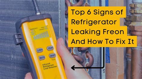 signs of freon leak in refrigerator|Signs of Freon Leak in Refrigerator; Here’s How to Fix